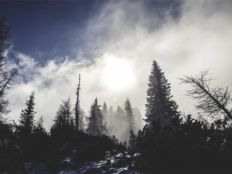 HSJ Group Unveils Cloud Seven Gold Reserve