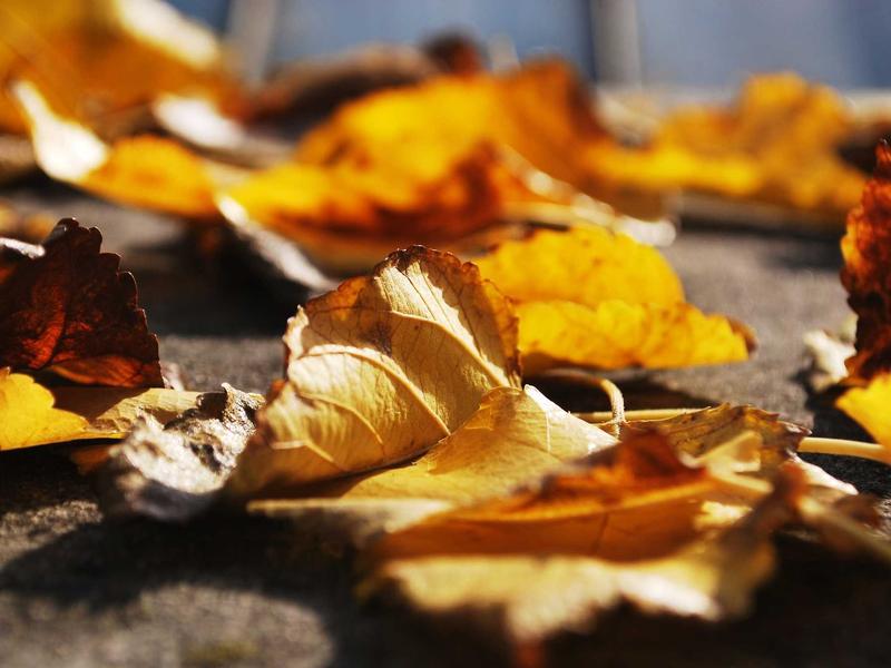 Flash Sale: 30% Off Cloud Seven Collection This Weekend